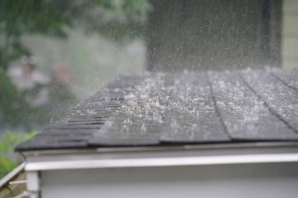 Best Roof Coating and Sealing  in Glenwood Landing, NY